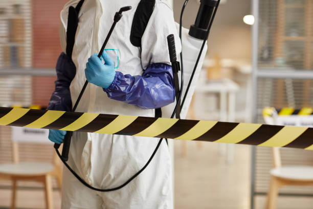 Professional Odor Removal technician working in Leamington, UT