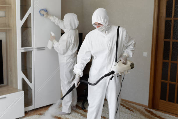 24/7 Emergency Odor Removal experts in Leamington, UT